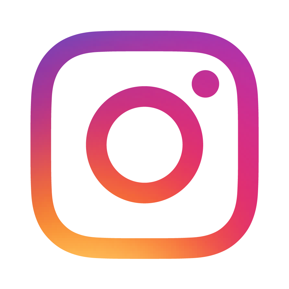 Instagram Logo Lite