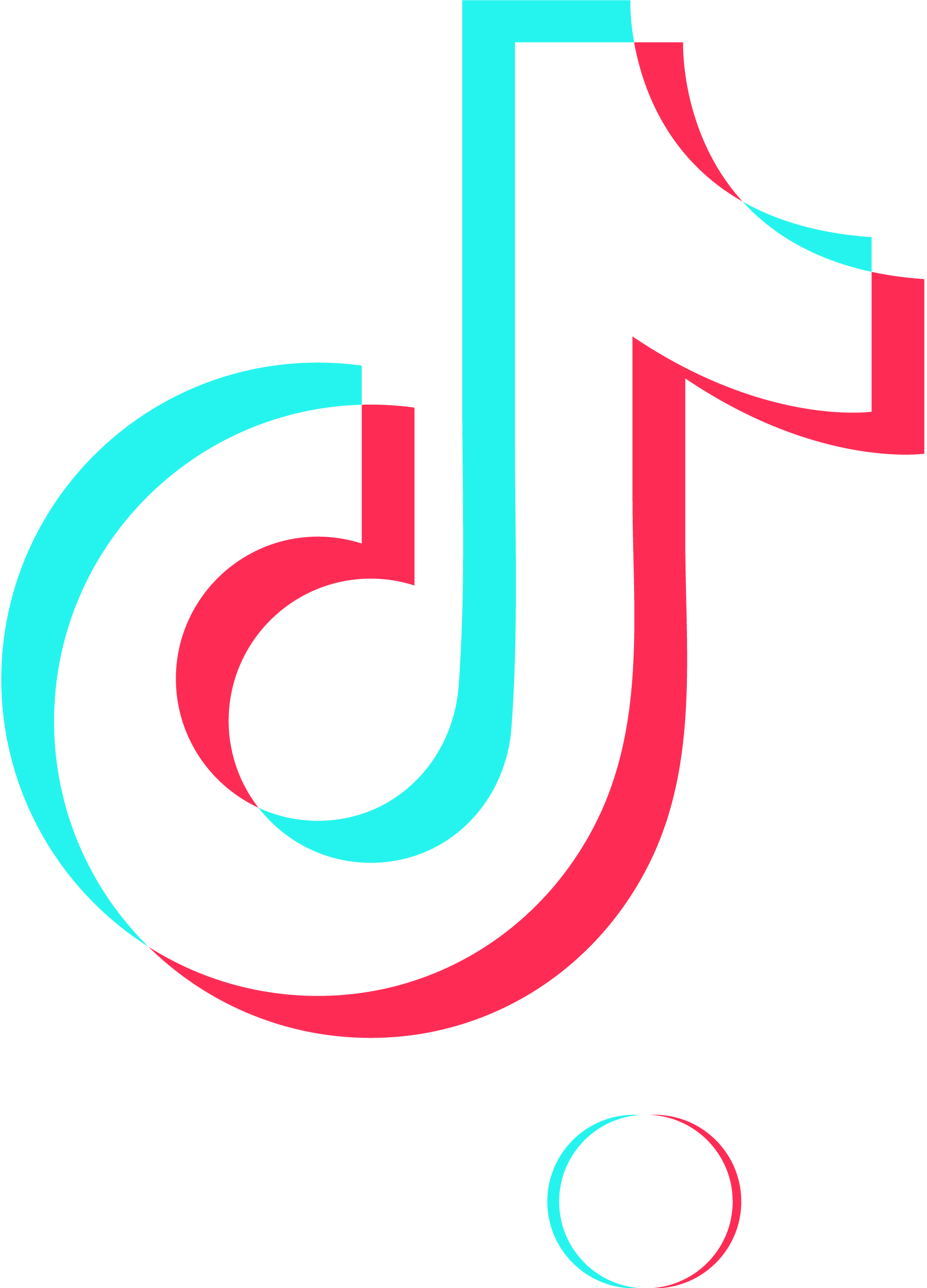White TikTok Logo